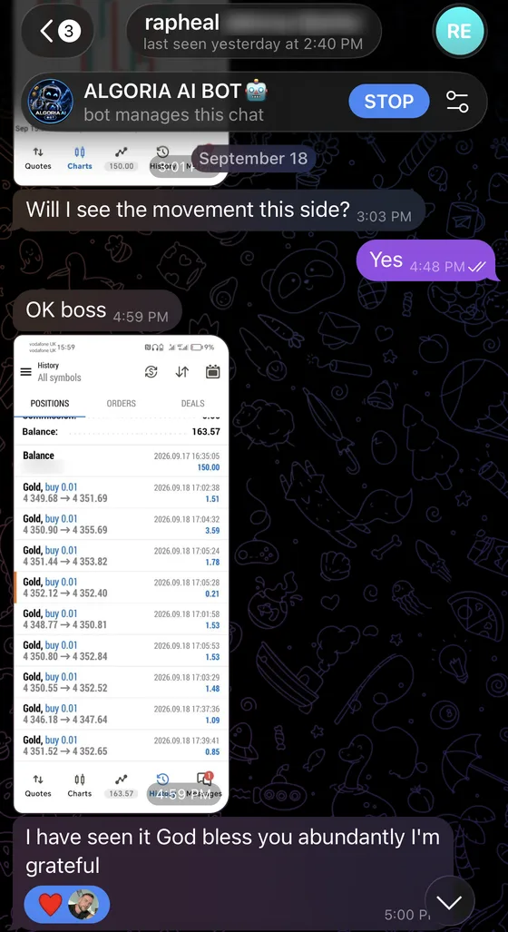Telegram conversation with Rapheal: “I have seen it God bless you abundantly I’m grateful”